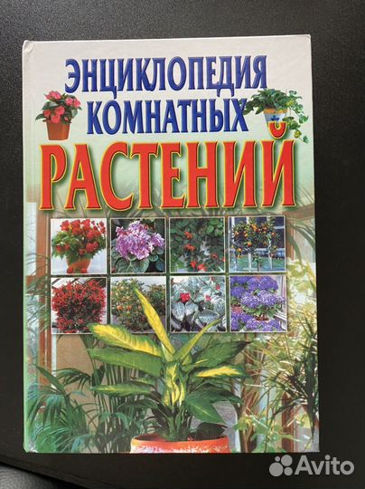 Энциклопедия комнатных растений С.Л.Быховец