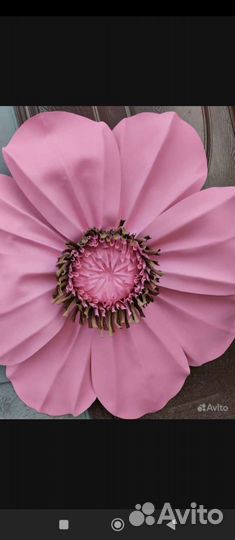 Декор на стену, украшение витрин