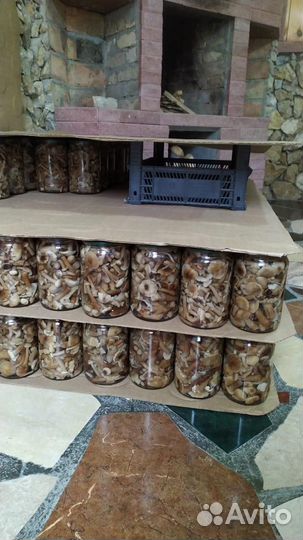 Грибы опята маринованные