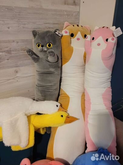 Кот Батон, акула, капибара, гуси, стич, соник