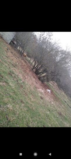 Дом 48 м² на участке 48 сот.