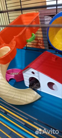 Клетки для грызунов