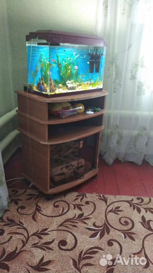 Аквариум