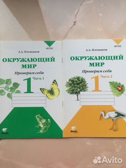 Тетради Окружающий мир 1 класс Плешаков