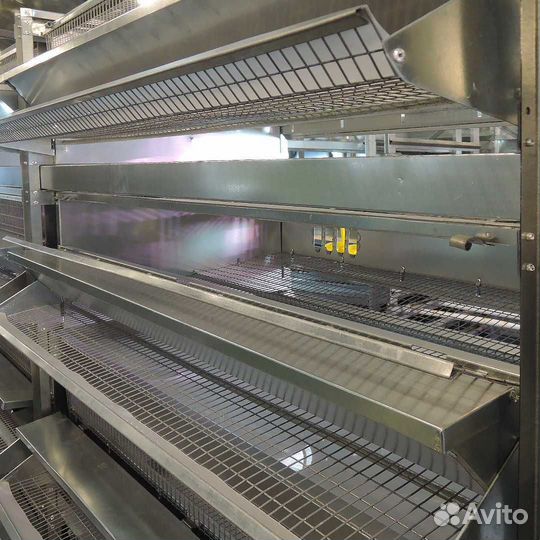 Клетки для перепелов