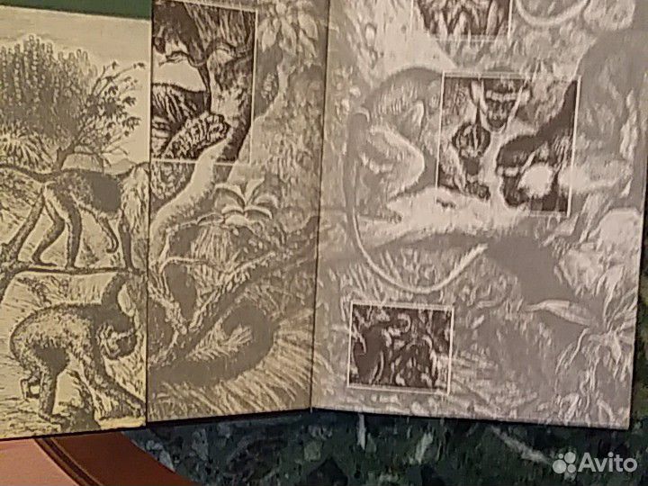 Брэм А.Э. жизнь животных 3 тома