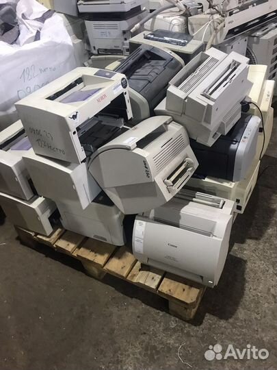 Продам принтер на зип