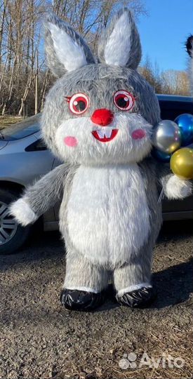 Экспресс поздравление аниматор