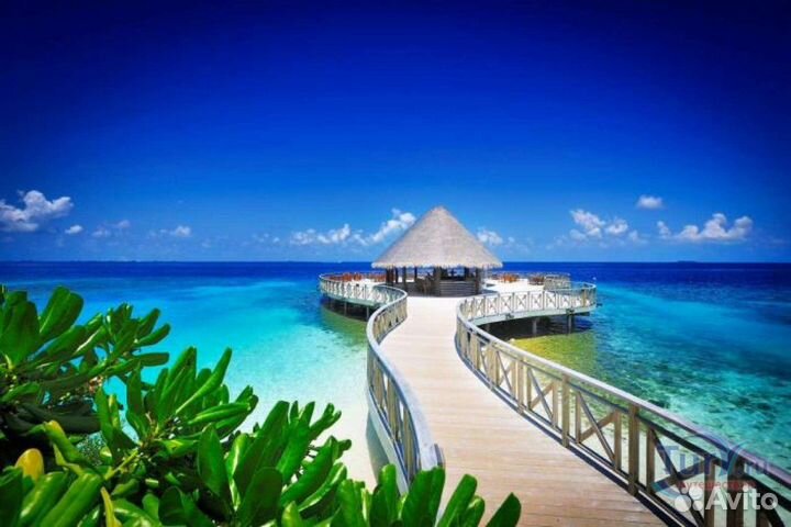 Мальдивы вылет 12.09 на 8 ночей