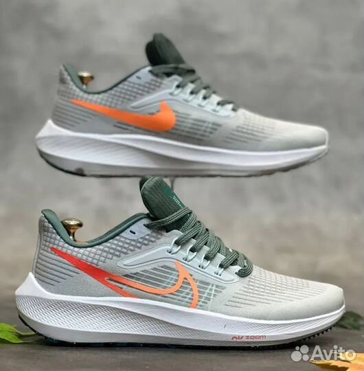 Nike pegasus (42)