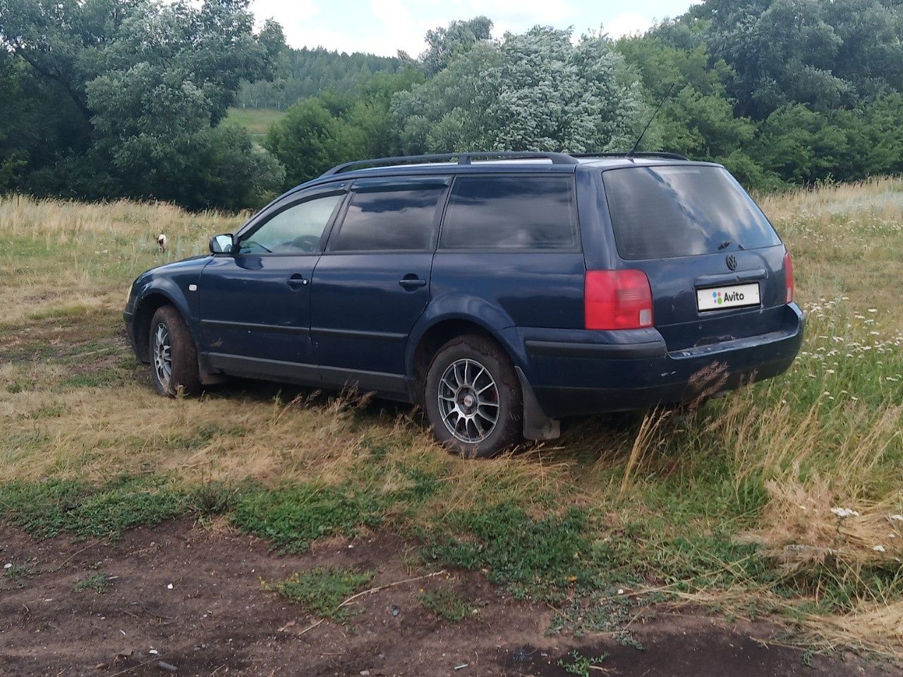 Volkswagen Passat: фото владельца