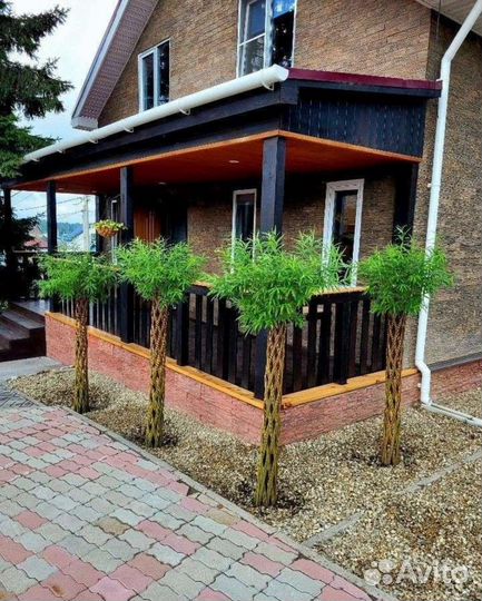 Пальма из Ивы, плетеное Дерево