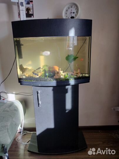 Аквариум с тумбой