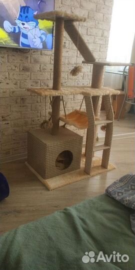 Когтеточка с домиком