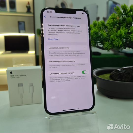 iPhone 12 Pro Max, 256 ГБ