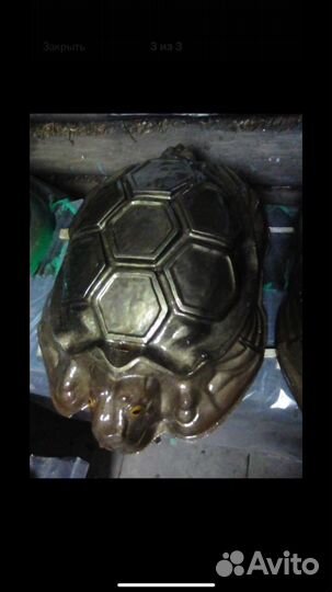 Садовые фигуры