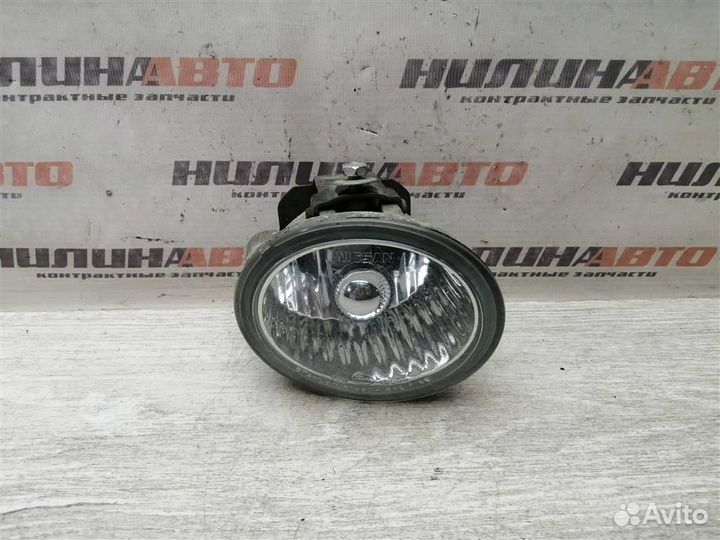 Фара противотуманная правая Ниссан Мурано Z50