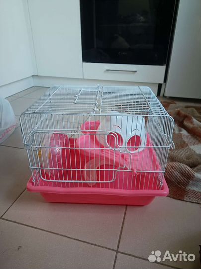 Клетка для грызунов бесплатно отдам
