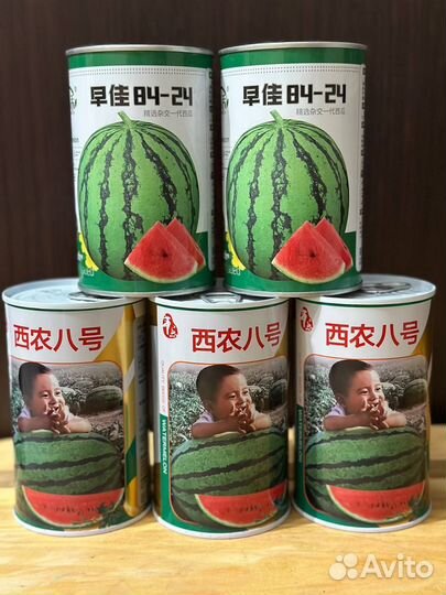 Продам семена арбузов 