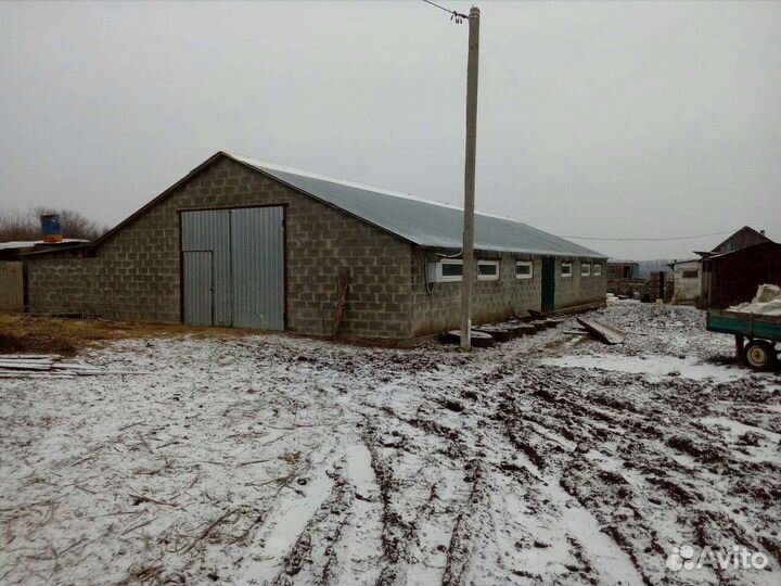 Фермерское хозяйство в аренду