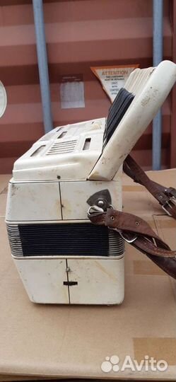 Аккордеон Аккорд Калуга