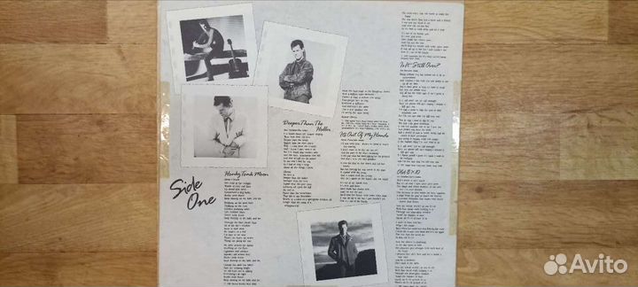 Виниловая грампластинка Rаndy Travis 