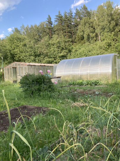 Дача 63 м² на участке 8 сот.