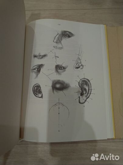 Новая книга Анатомия для художников Енё Барчаи 198