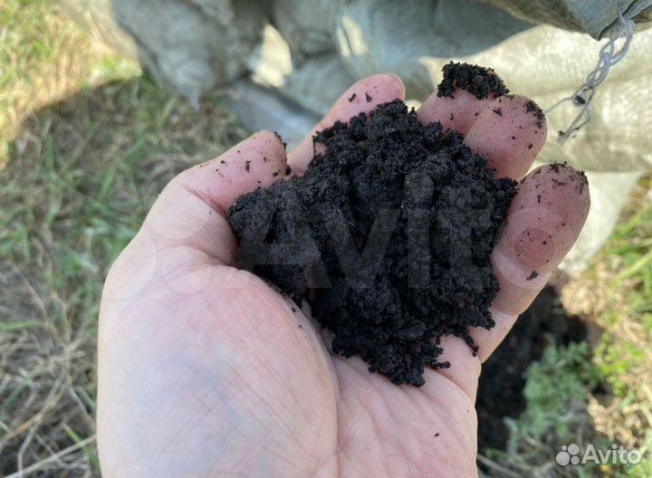 Навоз черназем