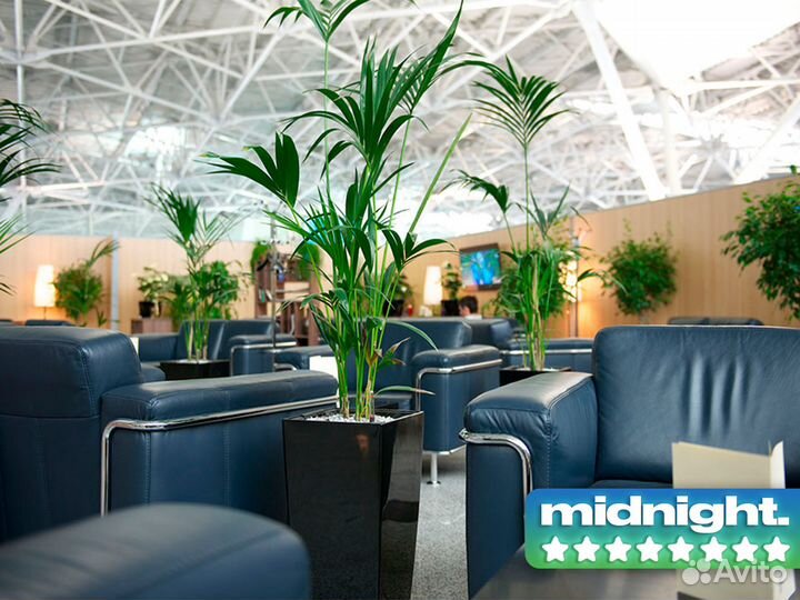 Пропуск (проход) в бизнес зал PEE