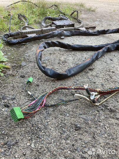 Жгут электропроводки DAF 105 кабина-двигатель