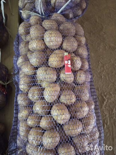 Продам картофель