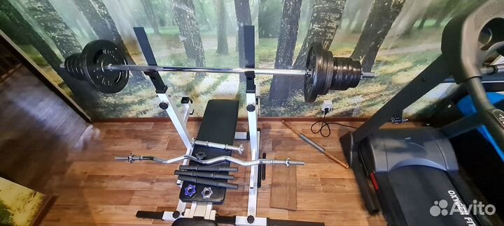 Гриф с блинами