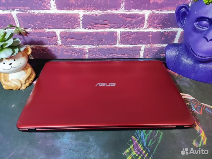 Ноутбук asus