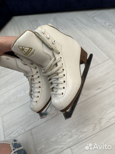 Коньки Jackson 13C
