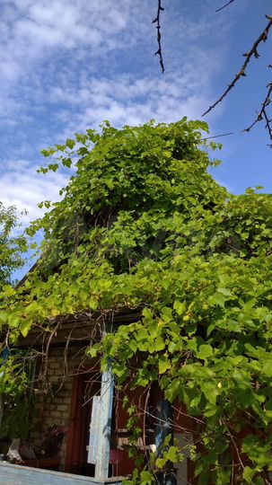 Дача 40 м² на участке 6,5 сот.