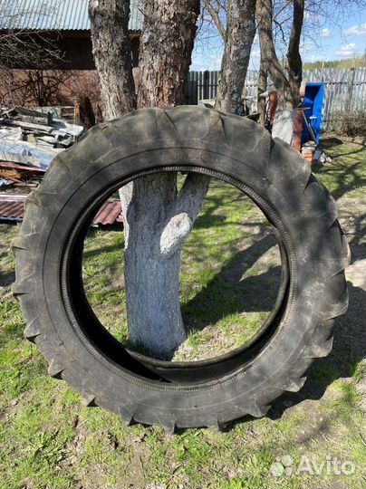 Шина тракторная Т-40