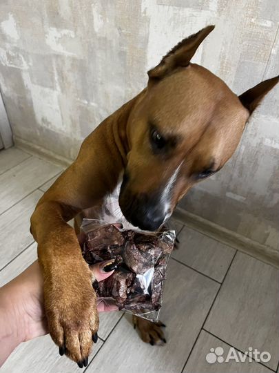 Лакомства для собак