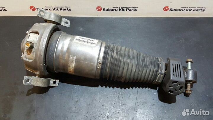 Пневмостойка задняя левая Porsche Cayenne 955