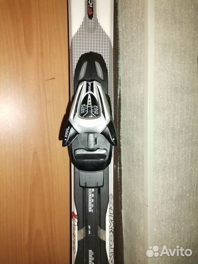 Горные лыжи