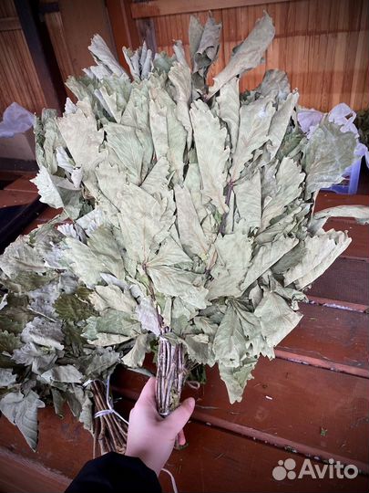 Веник дубовый