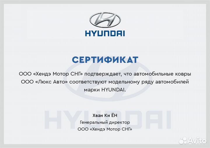 3D Коврики Hyundai Santa Fe 4 3 Экокожа Салон Бага