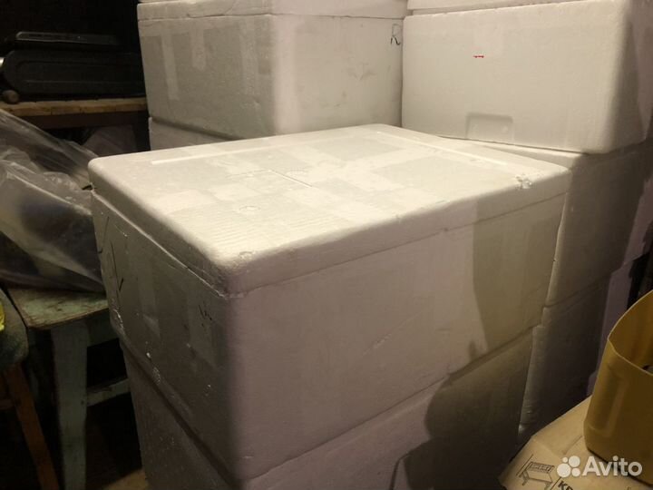 Пенопластовый ящик