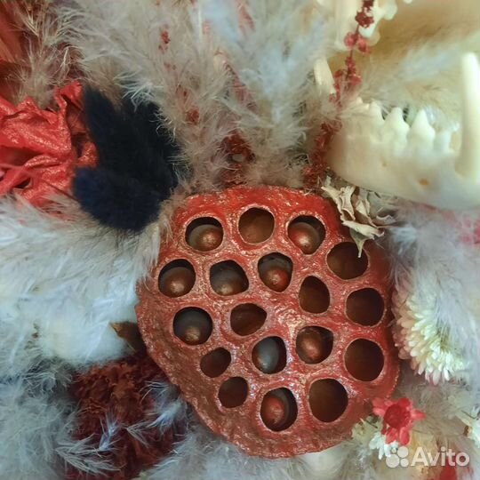 Букет из сухоцветов и черепа лисы