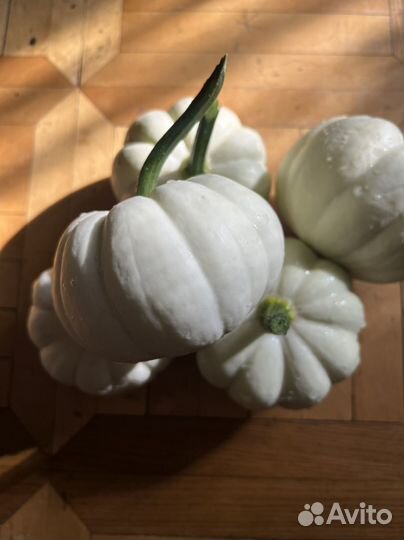Тыква декоратиная белая