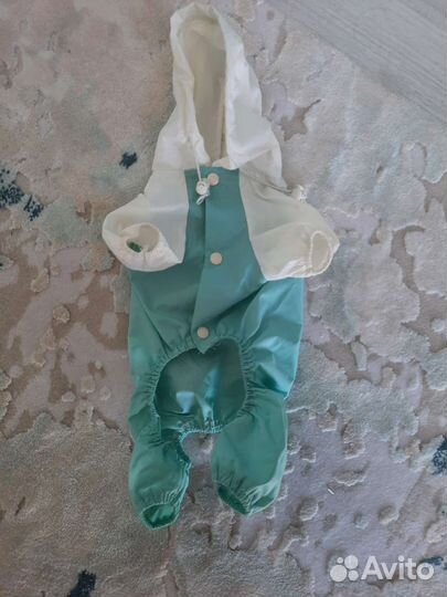 Одежда для маленьких собак