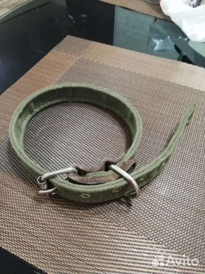 Ошейник для собак