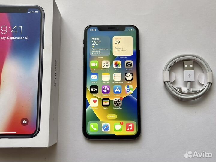 iPhone X (256 gb)