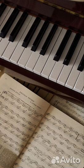 Репетитор по сольфеджио и теории музыки