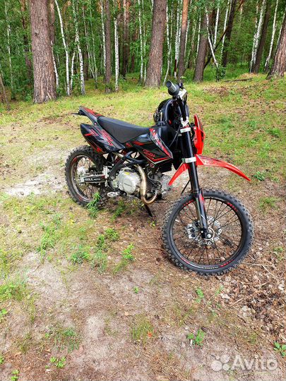 Питбайк Regulmoto seven medalist PRO 19/16